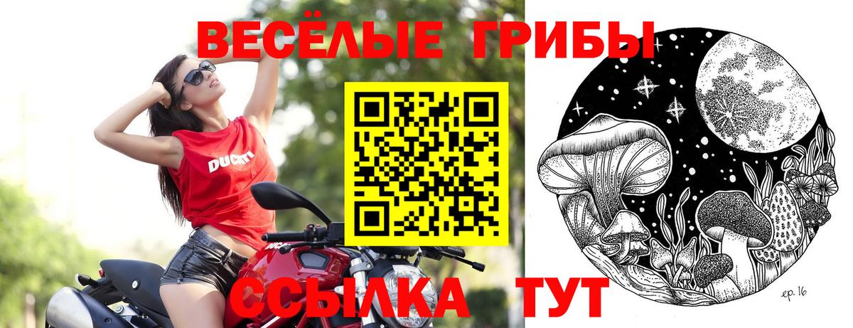 Псилоцибиновые грибы ЛСД Димитровград