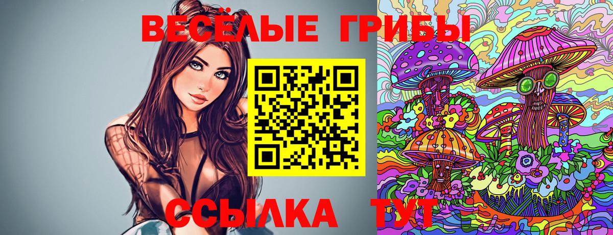 Димитровград  Галлюциногенные грибы Cubensis  цена   Вход с VPN 